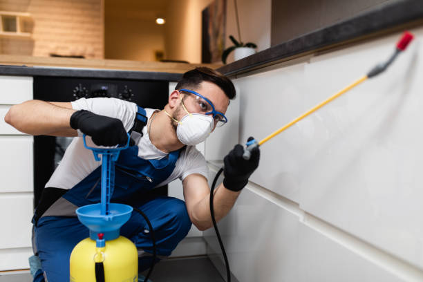 Best Affordable Pest Control Services  in Cache, OK