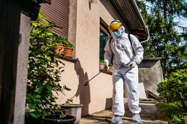 Best Termite Control Services  in Cache, OK
