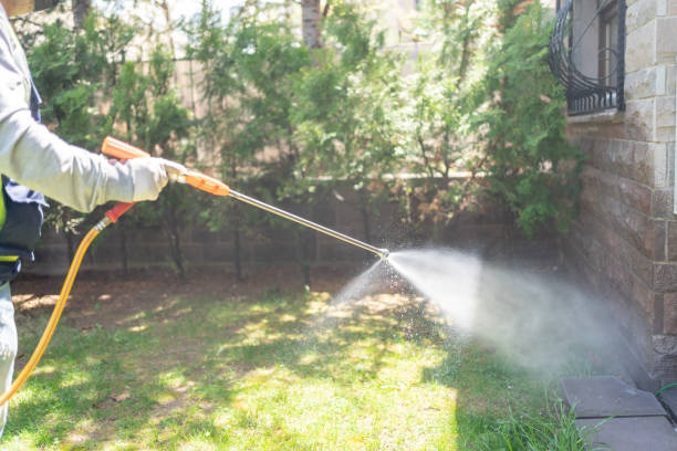 Best Exterminator Services  in Cache, OK