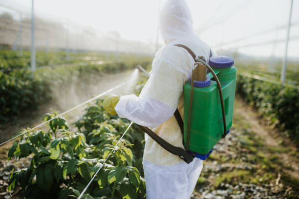 Best Affordable Pest Control Services  in Cache, OK